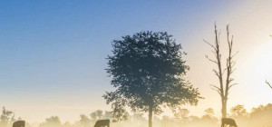 Bredere blik op stikstof bepleit