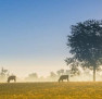 Bredere blik op stikstof bepleit