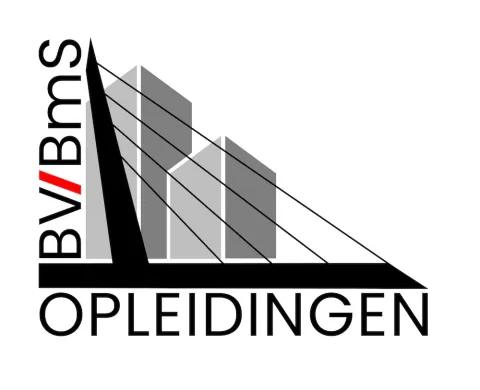 BV/BmS